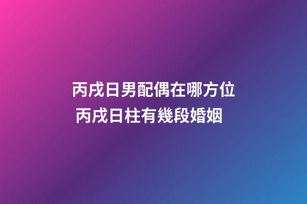 丙戌日男配偶在哪方位 丙戌日柱有幾段婚姻-第1張-觀點-玄機派